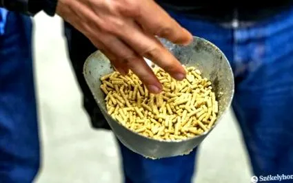fapte furaje