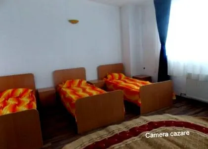 Véleményt küldte