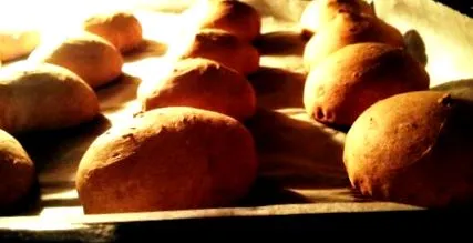 choux crème