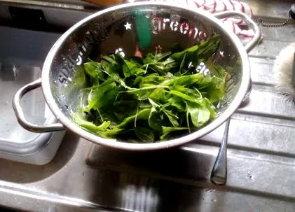 киселица