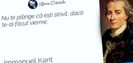 amelyet féreg