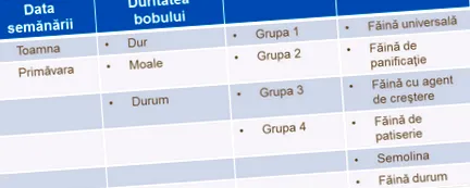 búza osztályozása