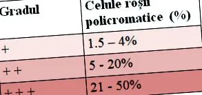 vesz fontolgat