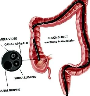 medical