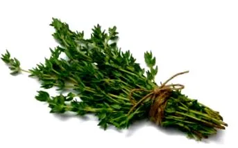 vagy quinoa vagy quinoa