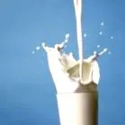 млеко сакате