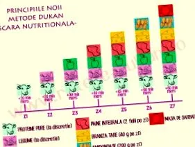 táplálkozási konszolidáció