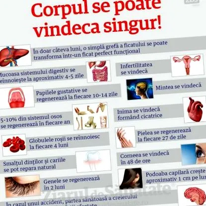 önmagát meggyógyítja