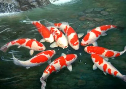 japán pontyok