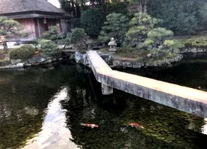 japán ponty