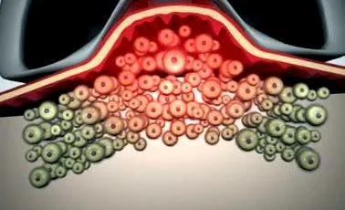 dermaspa