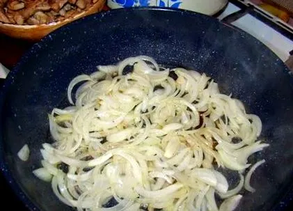 csirke cristina