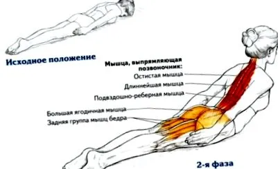 зајакнете како