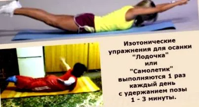 како мускулите