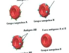 tudni