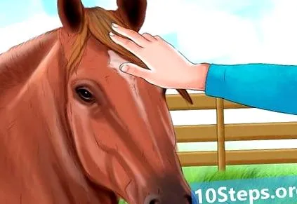 szerelmét