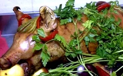 védjük