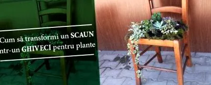 székből