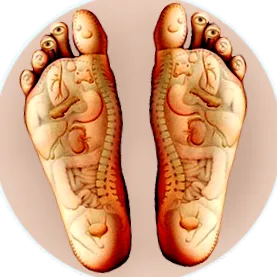tanfolyam