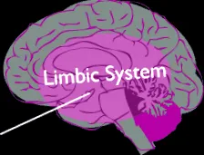 neurorelay