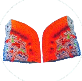 tapadás