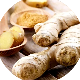 Cartimix Forte