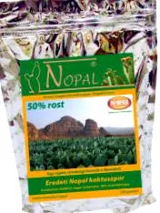cactus naturpiac