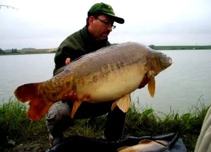 gigant-baits gigant-baits