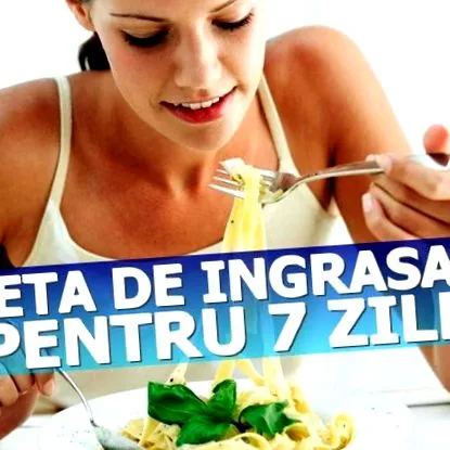 napig zsíros