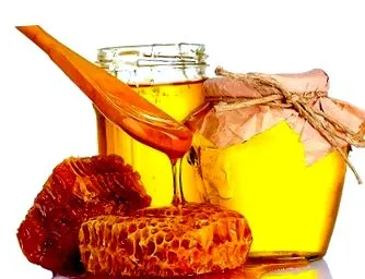 верзија диета ручек лажичка