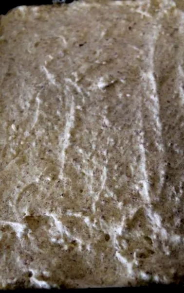montignacká