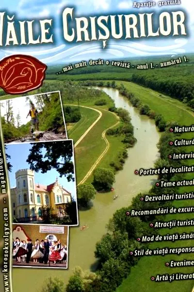 ízületek