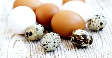 diéta