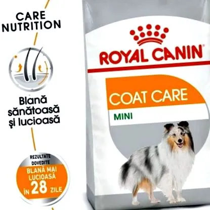 coat mini