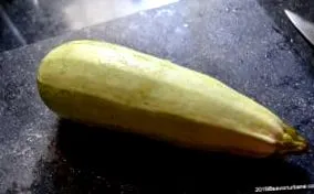 rýchly