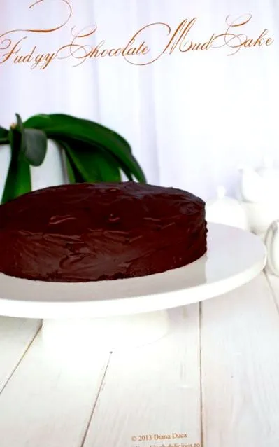fudgy fudgy