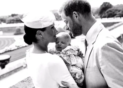 sussexi