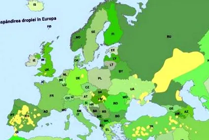 живеалиште дистрибуција