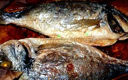 платика Морска платика фурната