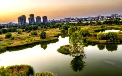 впечатоци