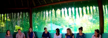 ayahuasca