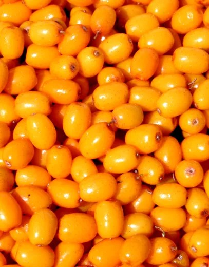 млеко