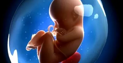 елитис откријте
