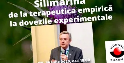 portál
