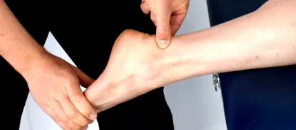 суглобі