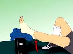 види дали