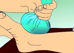 едем модринки
