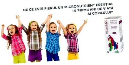 fontos miért