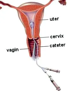 структурни структурни