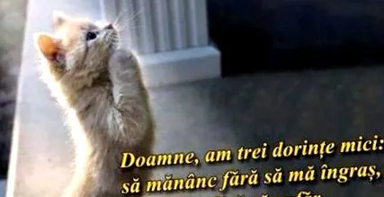 метаболизам стимулираат